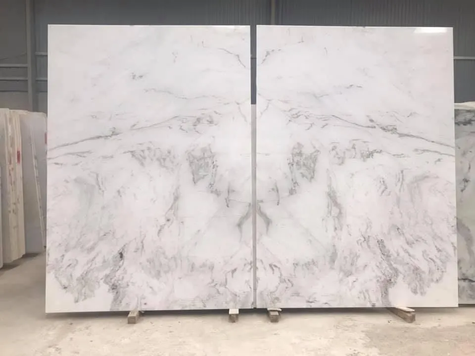 248340104 621107145598560 2441457542436118168 N.webp