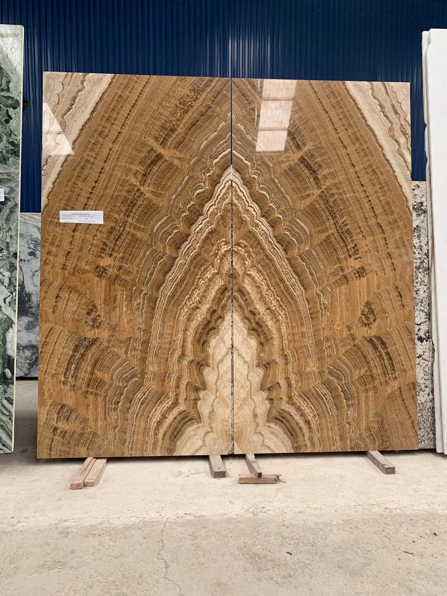 256125692 229781369112866 844940180374075671 N.webp